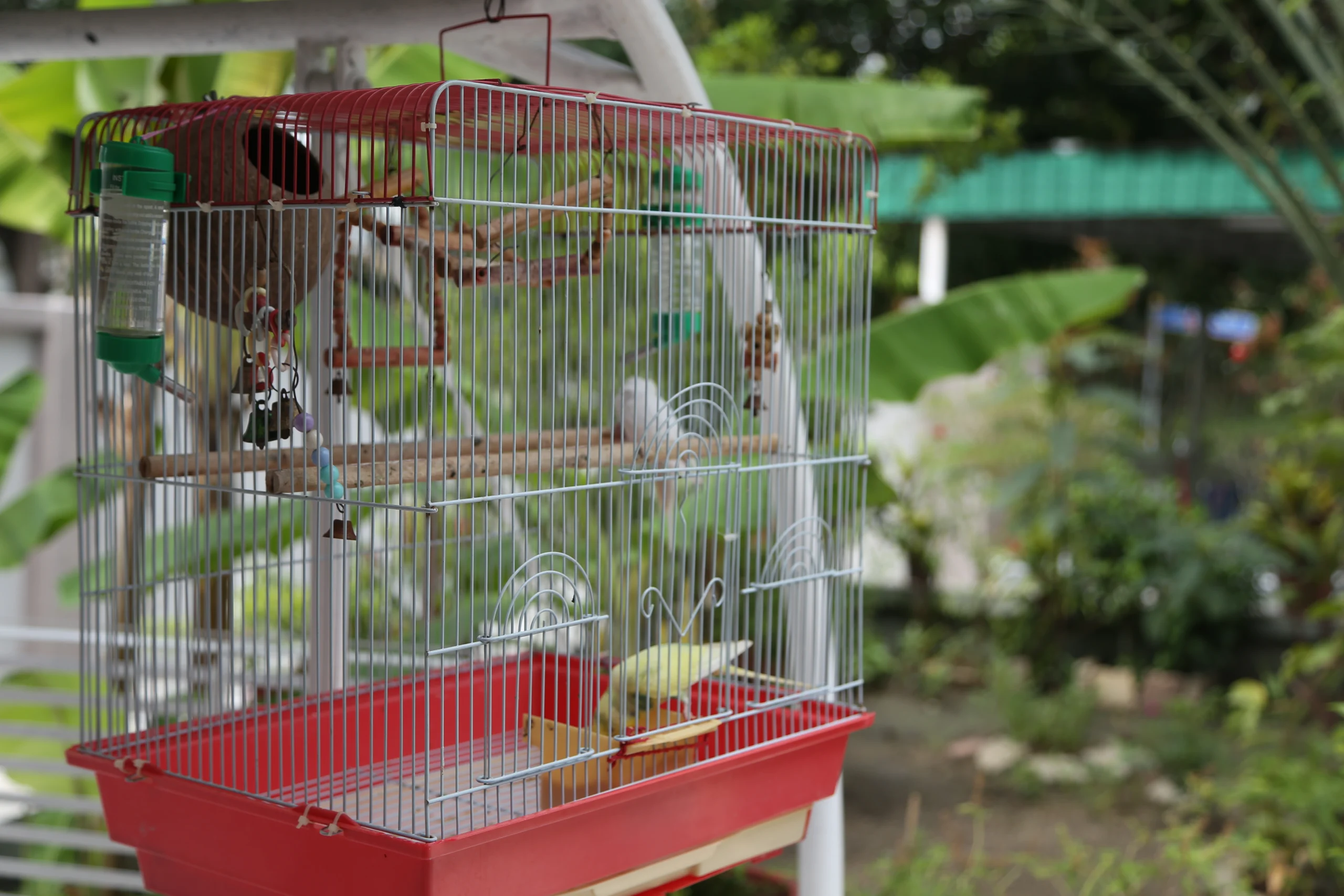 Resident Activities 2